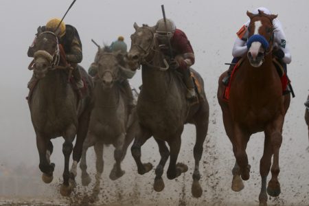 Justify- Preakness