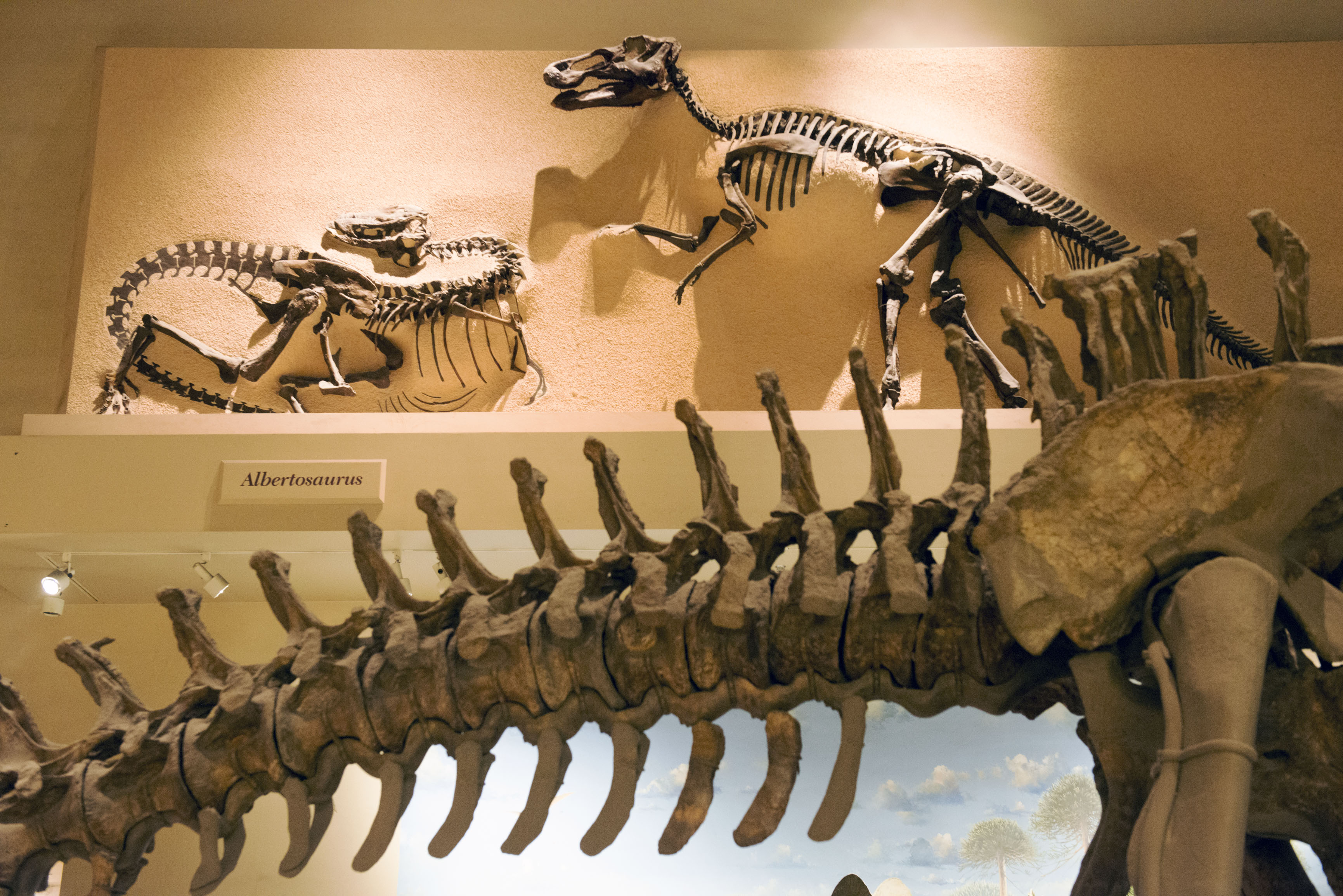 Smithsonian Now Excavating Dinosaur Bones From the Museum ...