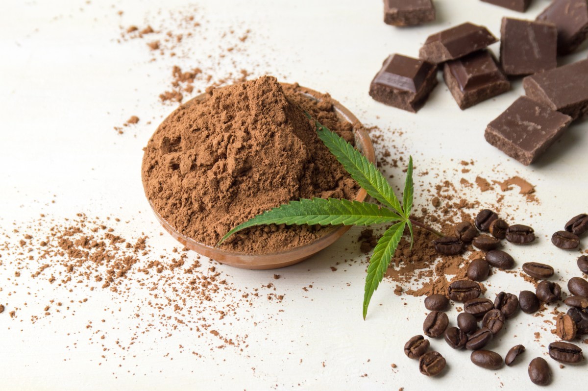 Cacao in a bowl with chocolate pieces and marijuana leaf (Getty)