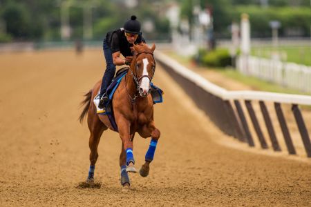 Justify with Humberto Gomez aboard gallops in preparation for the 150th Belmont Stakes at Belmont Park on June 07, 2018 in Elmont, New York. (Photo by Alex Evers/Eclipse Sportswire/Getty Images)