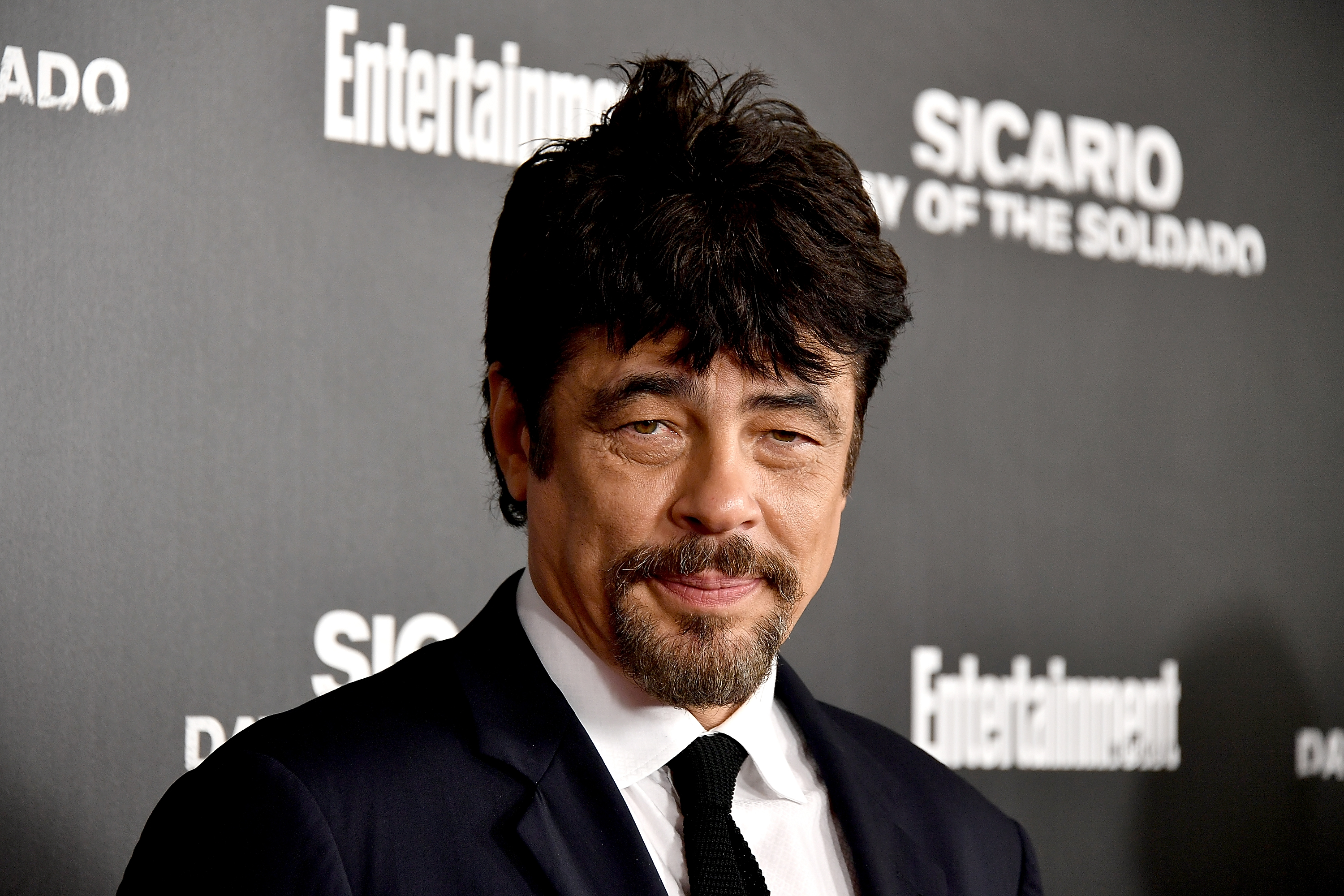 Benicio Del Toro