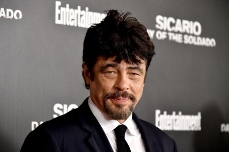 Benicio Del Toro
