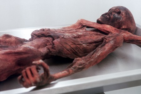 otzi the iceman
