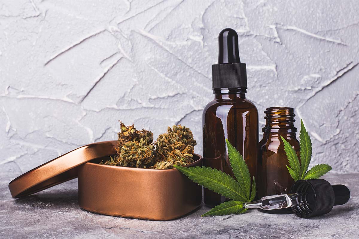 Cannabis CBD oil extracts in jars near a slide of marijuana cones in metal box on a gray background, marijuana leaf