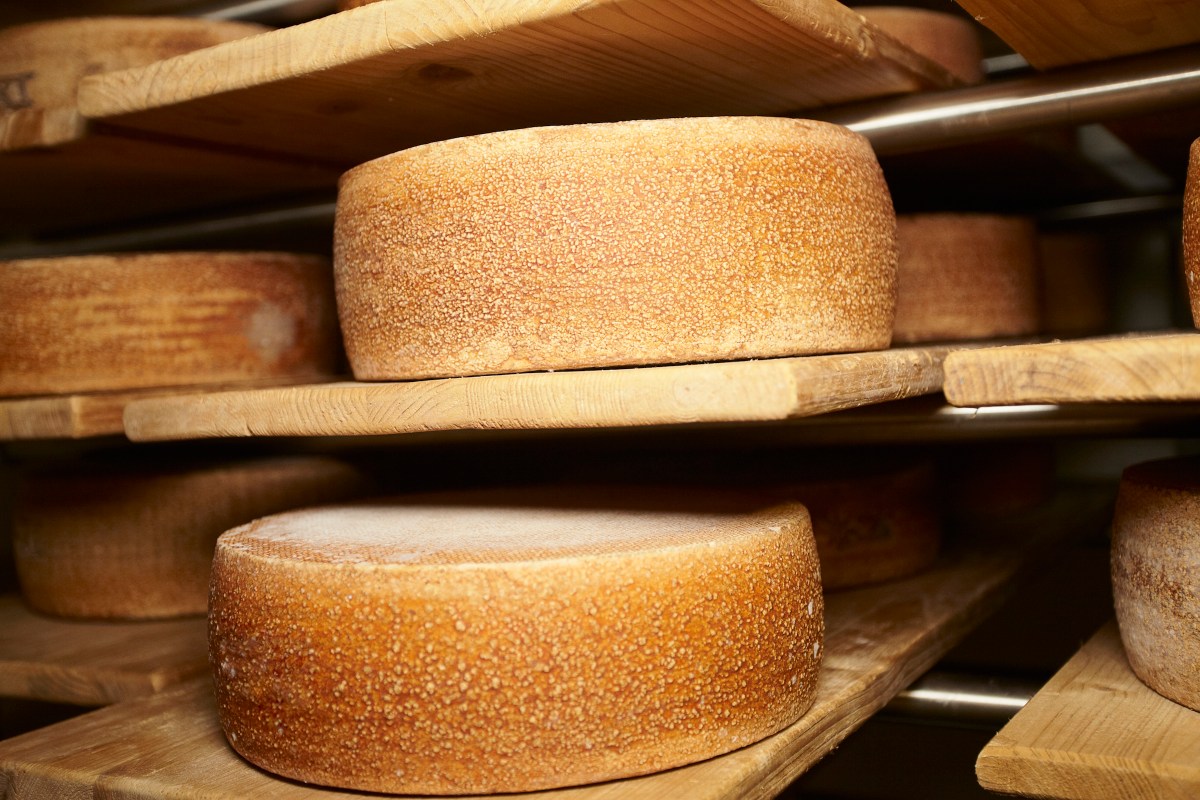 Scientists May Have Found Traces of 7,200-Year-Old Cheese in Croatia