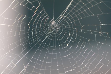 Full Frame Shot Of Spider Web. A 1,000-foot cobweb has recently taken over a beach in Greece. (Photo by Cludio Policarpo/EyeEm/Getty Images) 