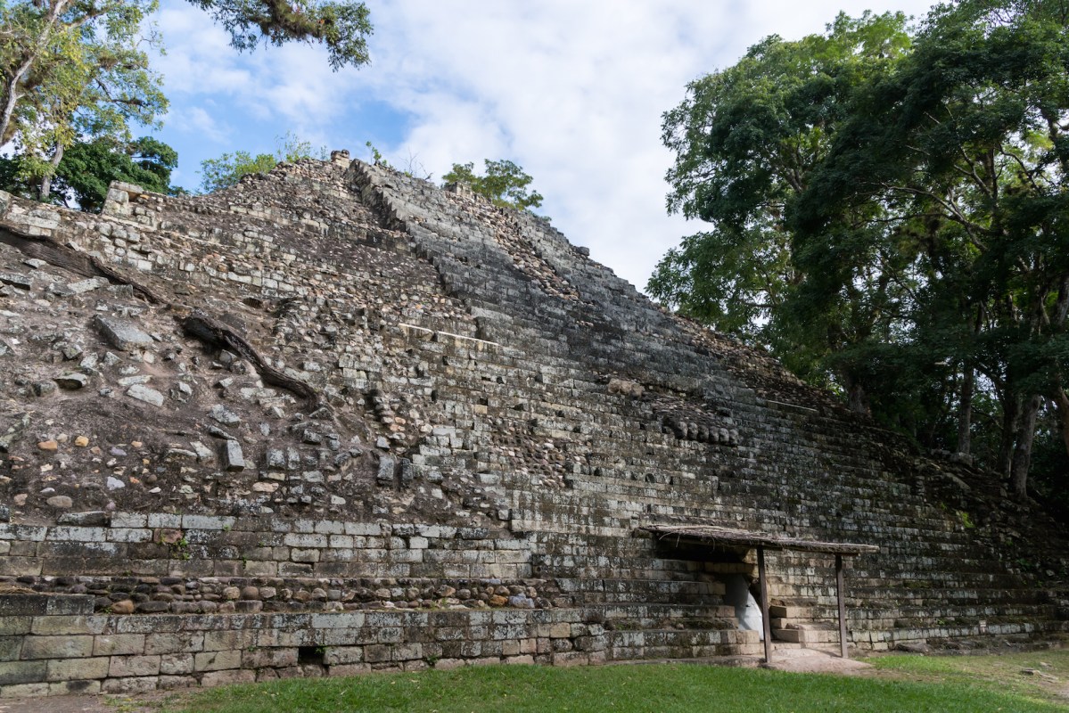Jaguar Remains Offer New Evidence of Incredible Maya Trade Networks