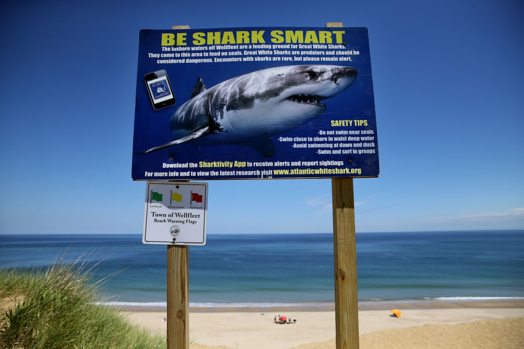 WELLFLEET, MA - JUNE 21: A shark warning sign stands at White Crest Beach in Wellfleet, MA on the first day of summer, June 21, 2018. (Photo by Craig F. Walker/The Boston Globe via Getty Images)