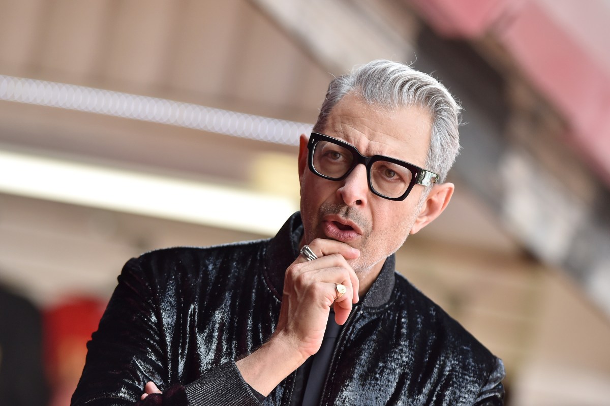 Actor Jeff Goldblum is honored with star on the Hollywood Walk of Fame on June 14, 2018 in Hollywood, California.  (Photo by Axelle/Bauer-Griffin/FilmMagic)