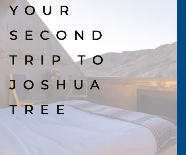 what to do in joshua tree national park