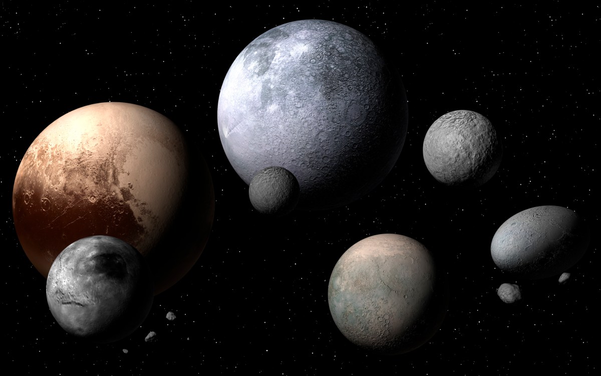 Dwarf planets and moons, illustration. A dwarf planet is a planetary mass object orbiting the Sun that is not a true planet. The discovery of a new dwarf planet, nicknamed "the Goblin" was recently announced. (Photo by MARK GARLICK/SCIENCE PHOTO LIBRARY/Getty Images)