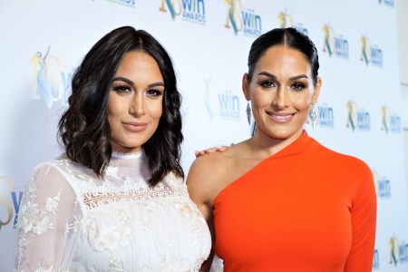 WWE superstars Nikki Bella and Brie Bella attend the 18th Annual Women's Image Awards at Skirball Cultural Center on February 17, 2017 in Los Angeles, California. The Bella Twins recently returned to the WWE ring. (Photo by Mintaha Neslihan Erolu/Anadolu Agency/Getty Images)