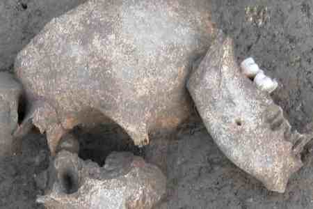  Experts found traces of conifer resins on ancient skulls at Le Cailar iron age site in France, supporting texts saying heads were embalmed. (Photograph: Handout)