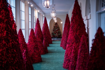 WH trees
