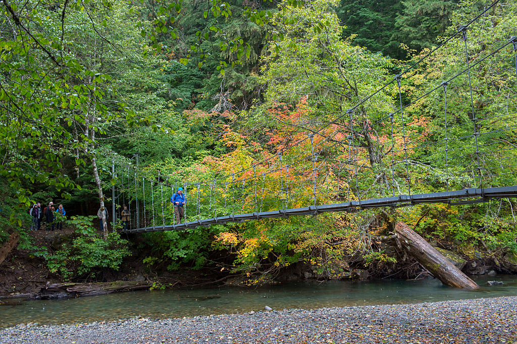 WASHINGTON, UNITED STATES - 2016/09/23: A simple suspension bridge (also rope bridge, hanging bridge) crosses over a channel of the Ohanapecosh River at the Grove of the Patriarchs in Mt. Rainier National Park in Washington State, USA. (Getty Images)
