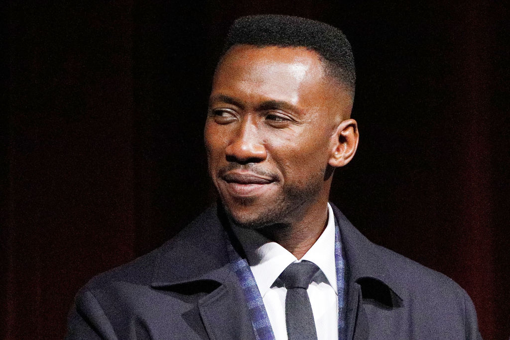 NEW YORK, NY - NOVEMBER 13:  Actor Mahershala Ali on stage during The Academy of Motion Picture Arts and Sciences official screening of "Green Book" at the MOMA Titus 2 Theater on November 13, 2018 in New York City.  (Photo by Lars Niki/Getty Images for The Academy Of Motion Picture Arts & Sciences)