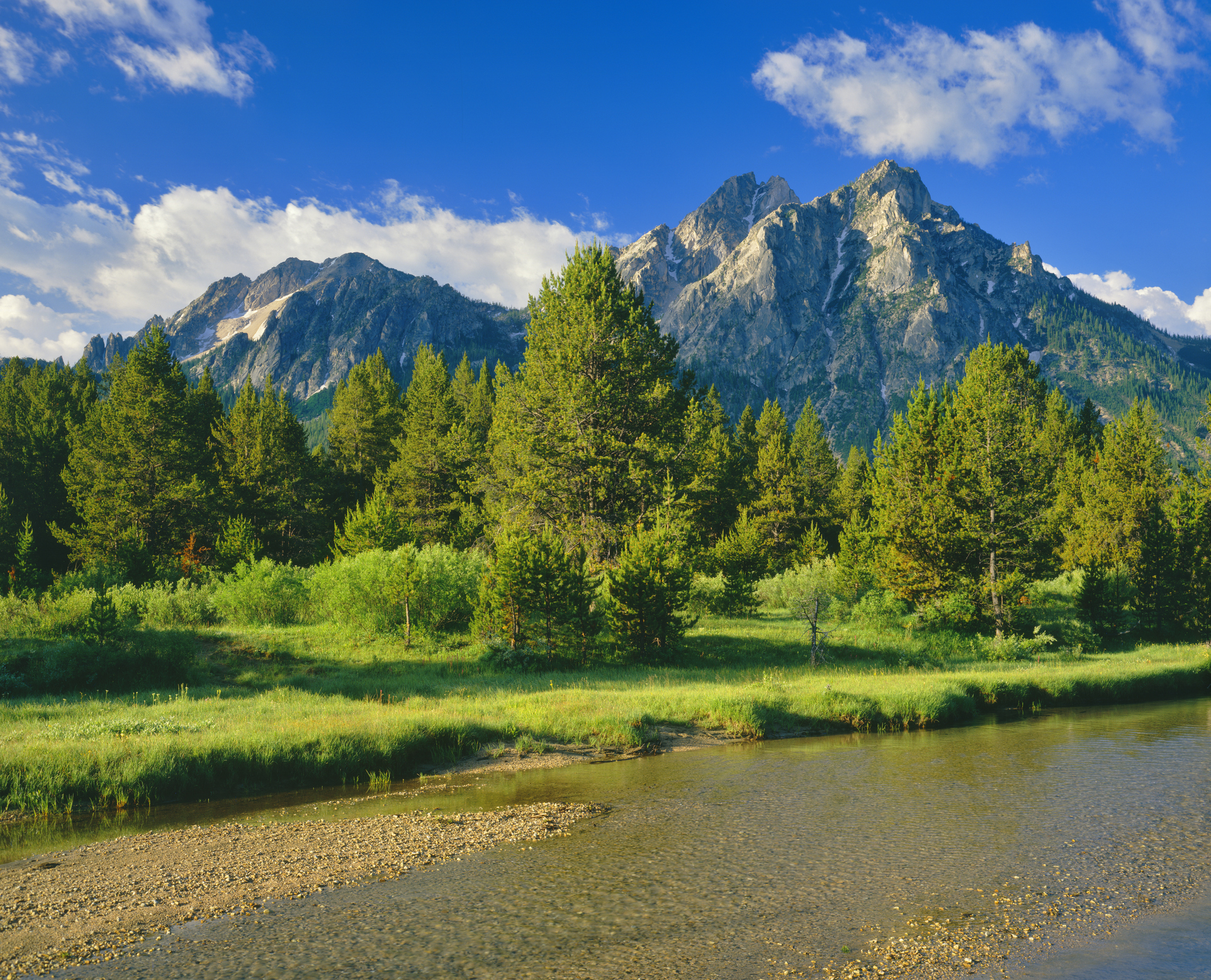 The Sawtooth Range sits in the distance in  a meadow, in the Sawtooth National Recreation Area of Stanley, Idaho.