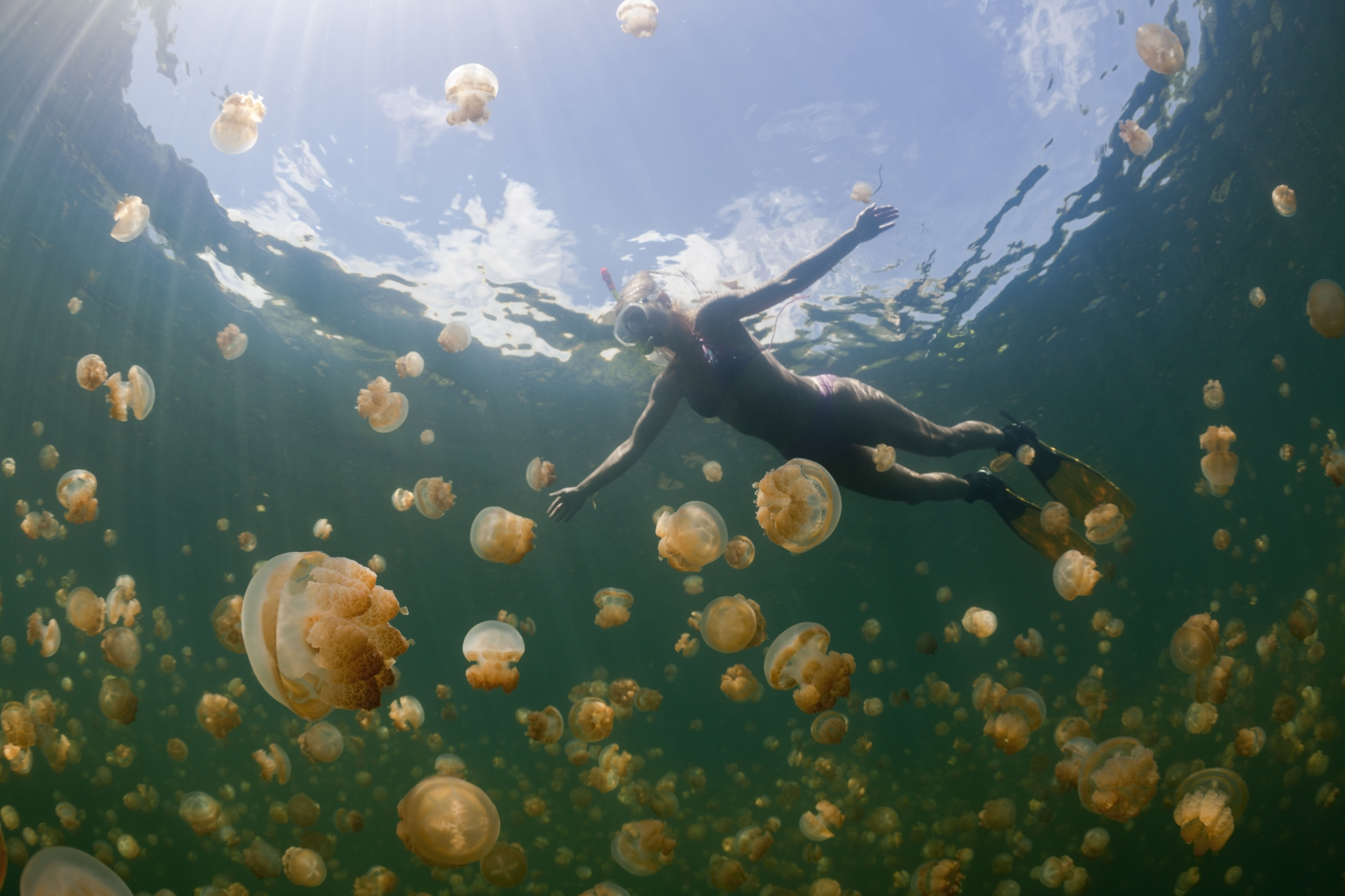Underwater Wonders That Will Blow Your Mind - InsideHook