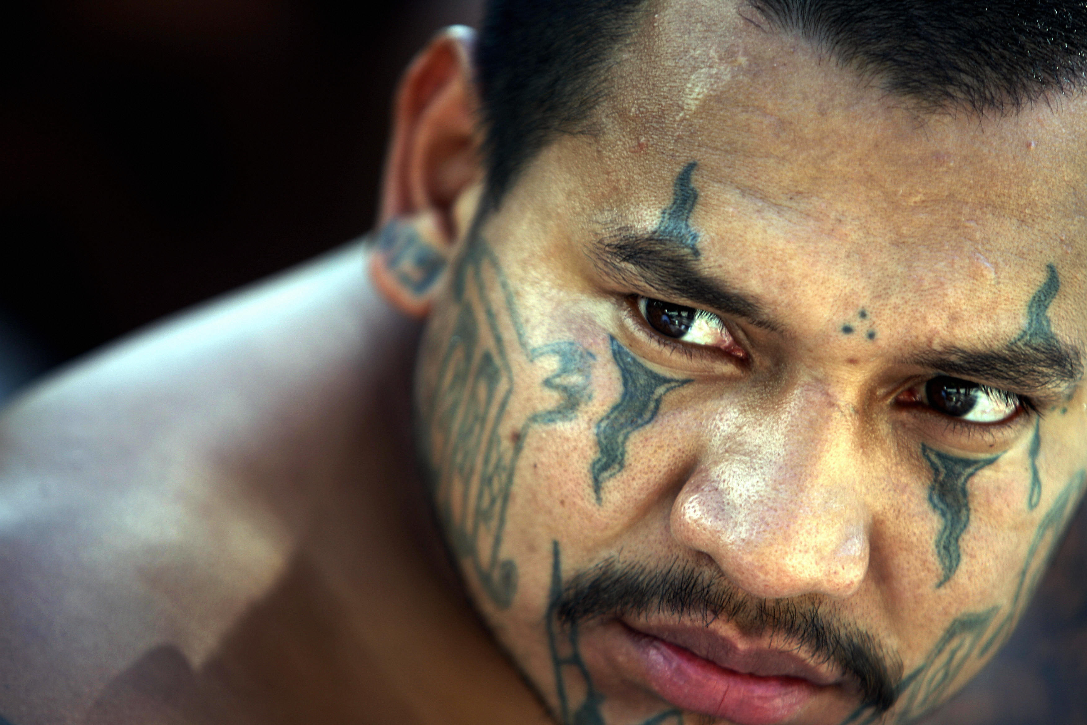 A member of the "Mara Salvatrucha" gang is presented to the press in San Salvador on September 7th, 2006, after his arrest last night. (Yuri Cortez/AFP/Getty Images)