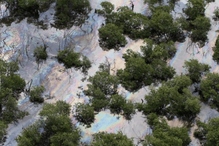 A screengrab of oil spill coverage in Brazil's Guanabara Bay (BBC)