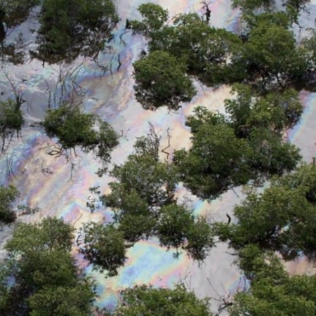 Botched Robbery Leaks 16,000 Gallons of Oil into Brazilian Bay