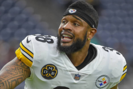 Stevan Ridley of the Pittsburgh Steelers (Getty Images) 