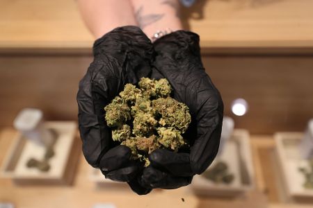 Marijuana in Nevada