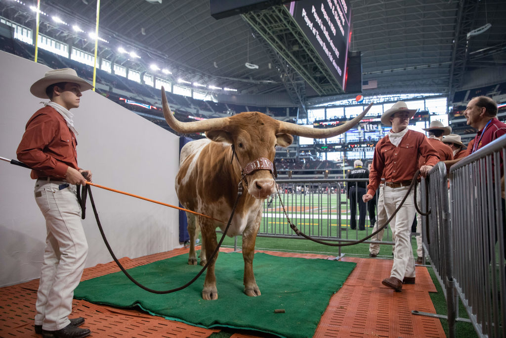 ARLINGTON, TX - DECEMBER 01: Texas Longhorns mascot Bevo on the sidelines during the Big 12 Championship game between the Oklahoma Sooners and the Texas Longhorns on December 1, 2018 at AT&T Stadium in Arlington, Texas.  (Photo by Matthew Visinsky/Icon Sportswire via Getty Images)