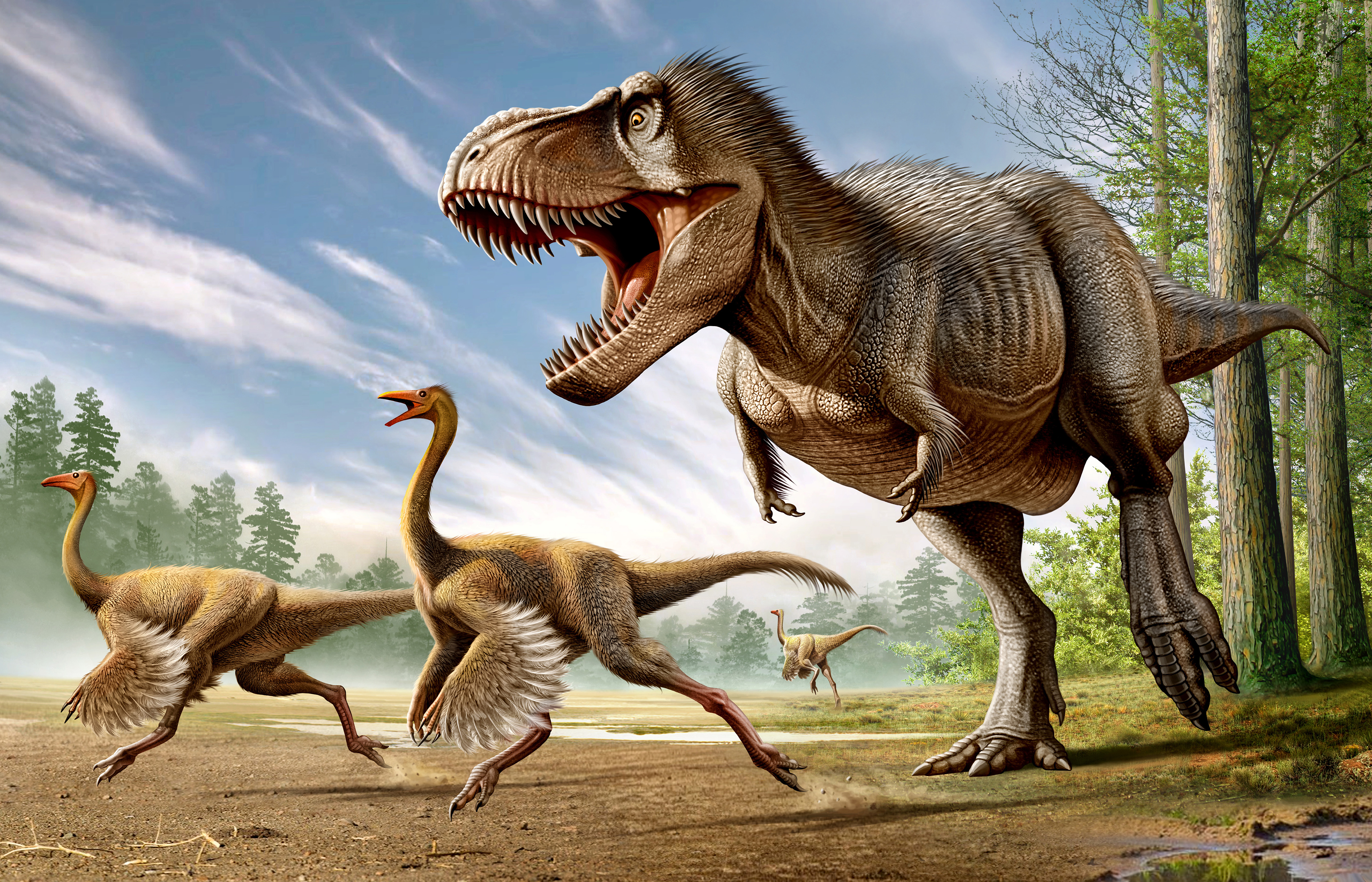 Динозавры это животные. Тираннозавр рекс. Динозавры хищники Тиранозавр. Тероподы Юрского периода. Тираннозавр рекс Тирекс Тирекс.