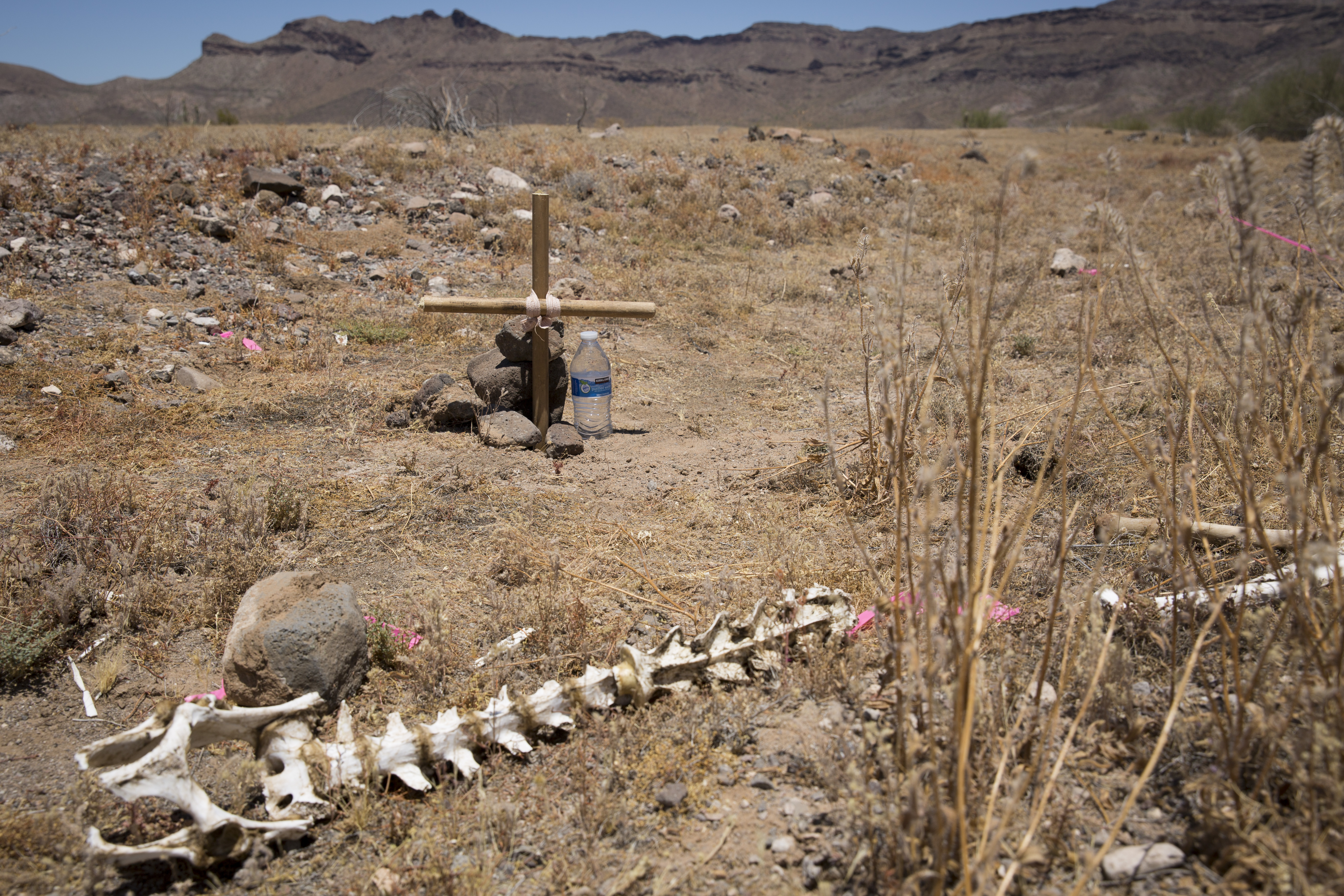 migrant aid volunteers