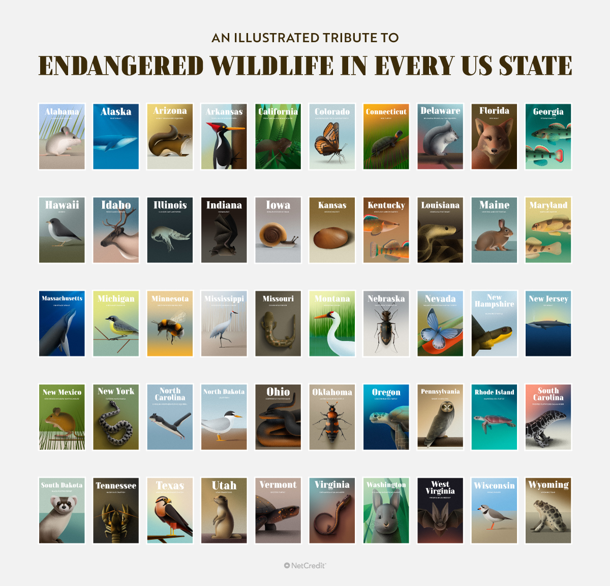 Endangered wildlife