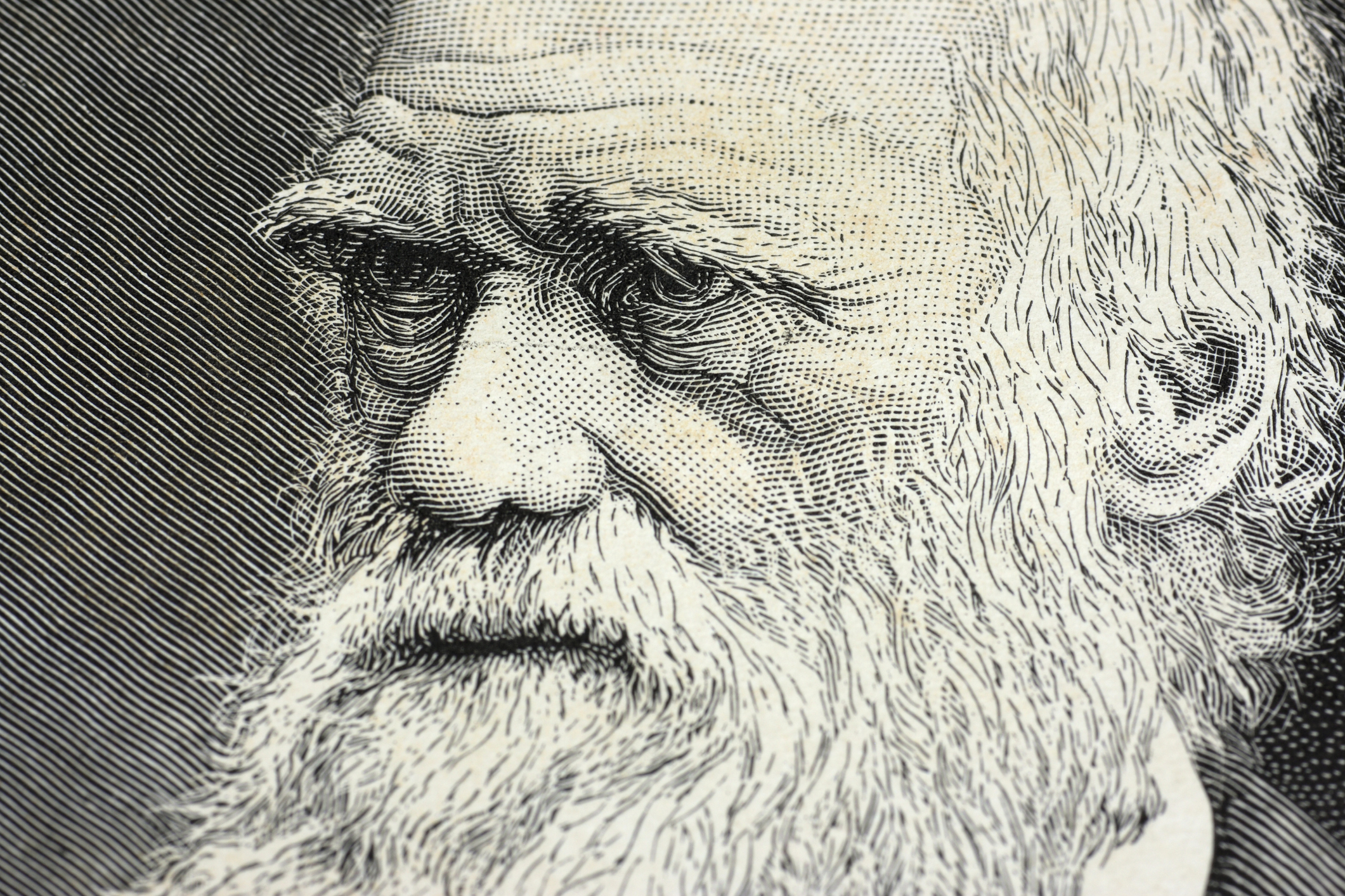 How Charles Darwin Spawned So Much Pseudo-Scientific Racism