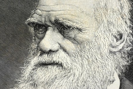Detail of a portrait of Charles Darwin with selective focus on the eyes. (Getty)