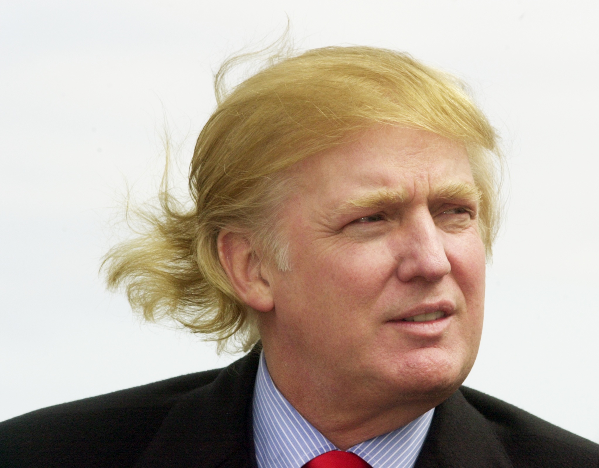 Trump's Hair Is a Big Deal. Here's the Science Behind It - wide 8