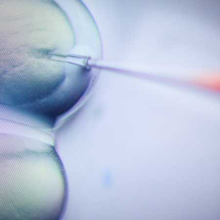 CRISPR china embryos