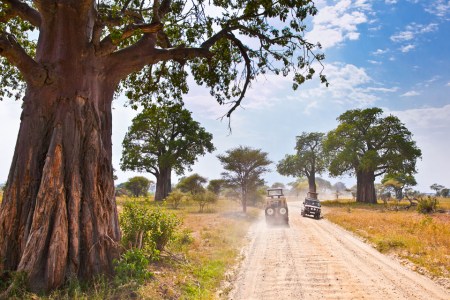 These Are the Dadventures. Use Them Wisely.