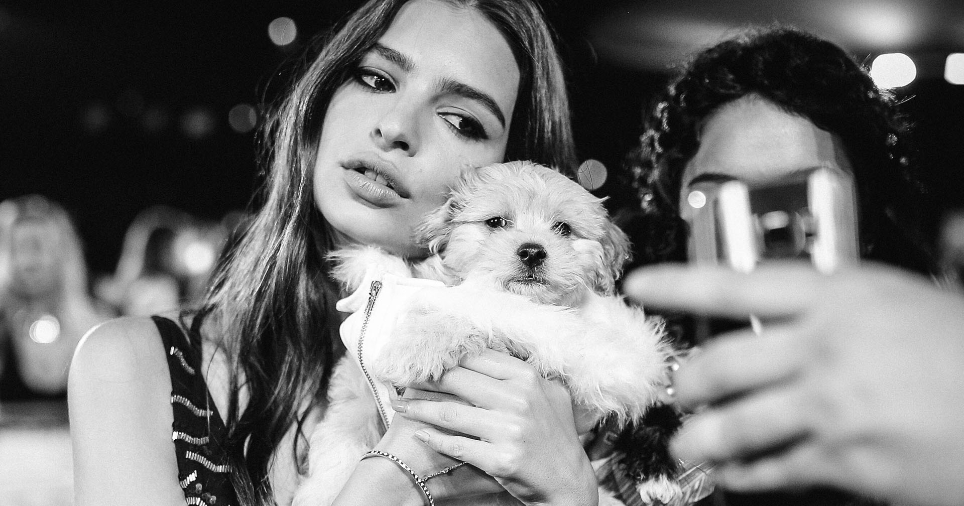 The 2016 List of Lists