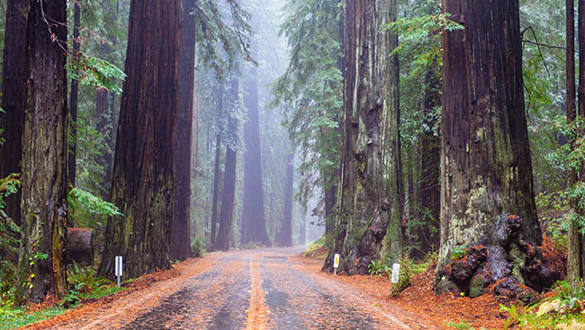 The Quintessential Experiences in All 59 National Parks