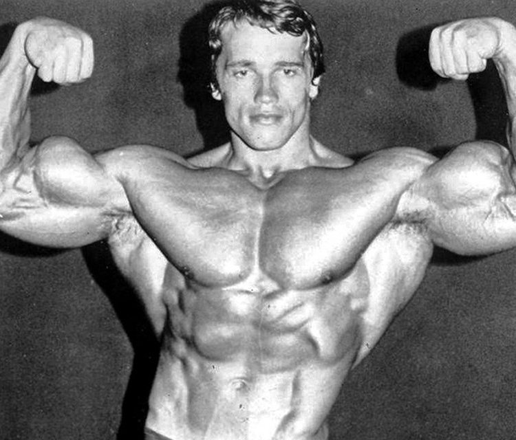 Arnold Schwarzenegger, mr. olympia, olympics, workout
