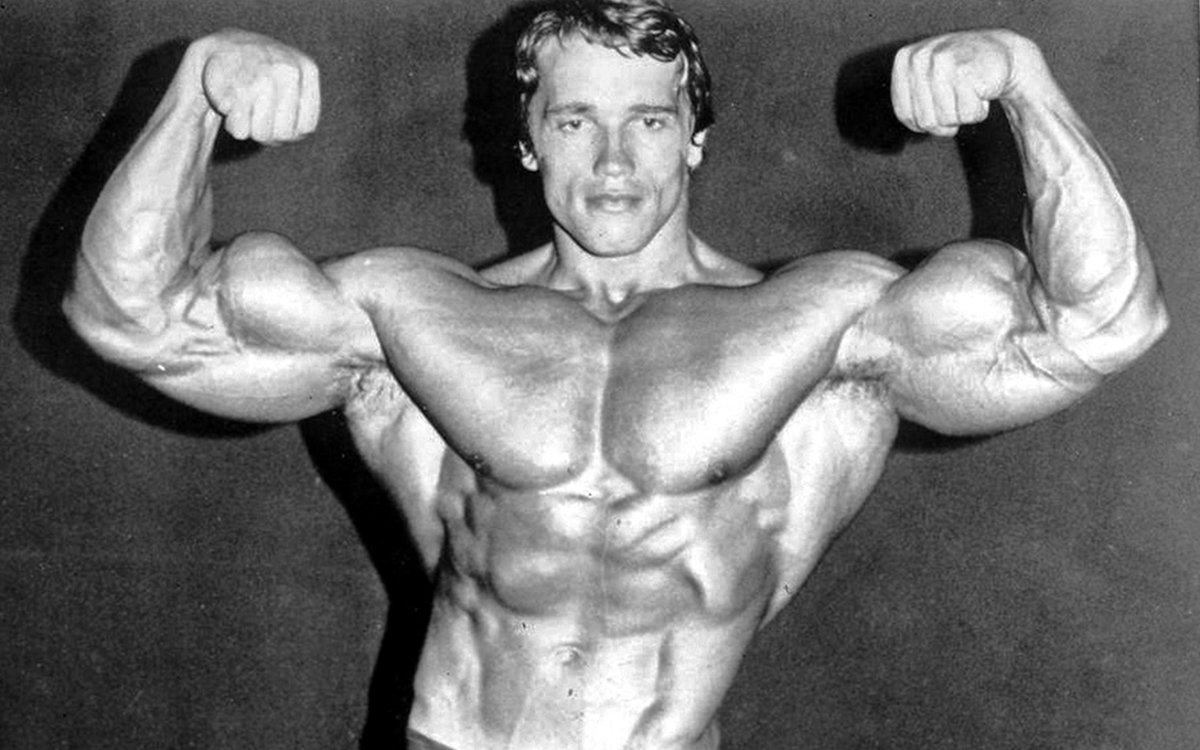 Arnold Abs Workout Chart