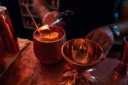 The Cocktail Quarterly Vol. XIII