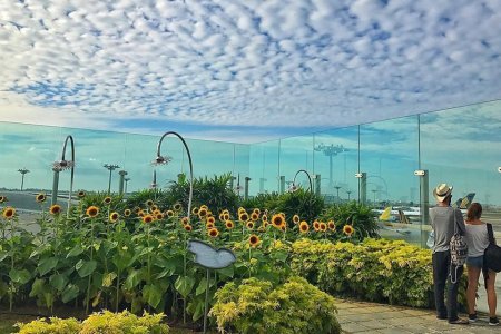 Would You Rather: Make Your Connection or Hit the Rooftop Pool?