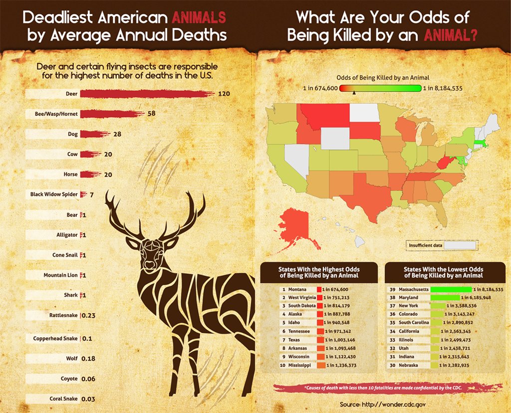What are the deadliest states for animal deaths in the US InsideHook