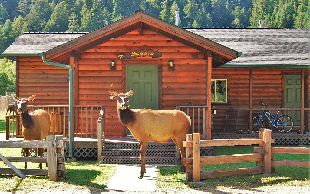 Elk Meadow Cabins