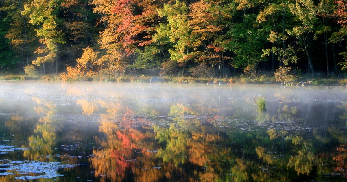 The Seven Best Fall Hiking Destinations Near New York