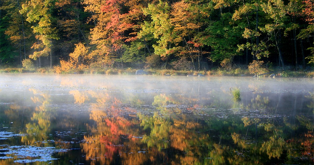 The Seven Best Fall Hikes Near New York InsideHook