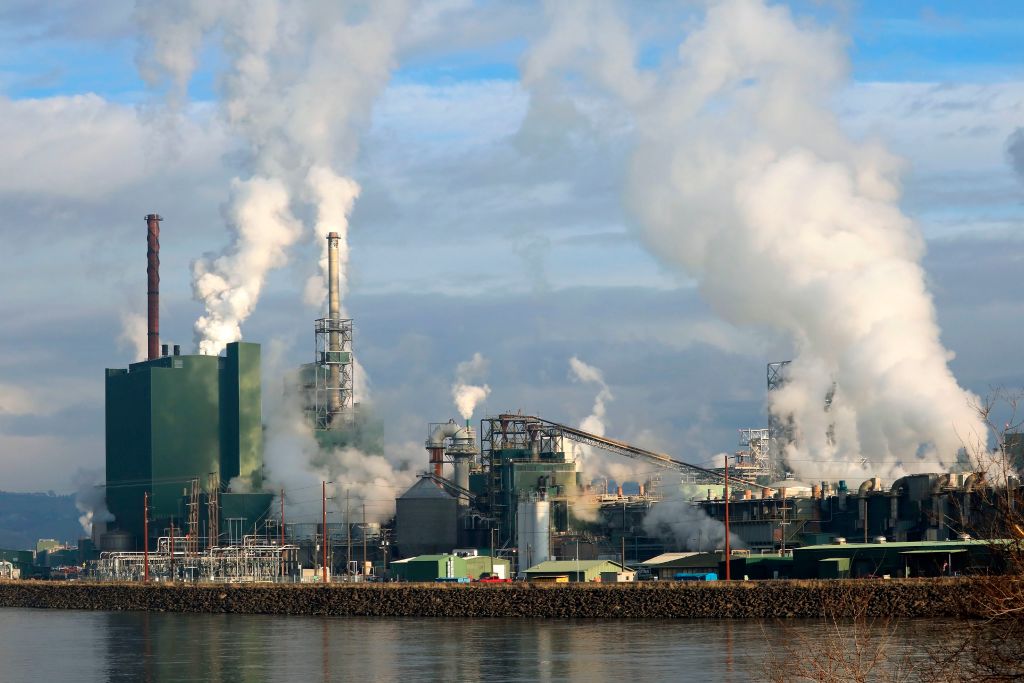 Riverside industrial pulp mill showing smokestacks and stream releases as the facility operates on a sunny afternoon. (Photo by: Education Images/UIG via Getty Images)