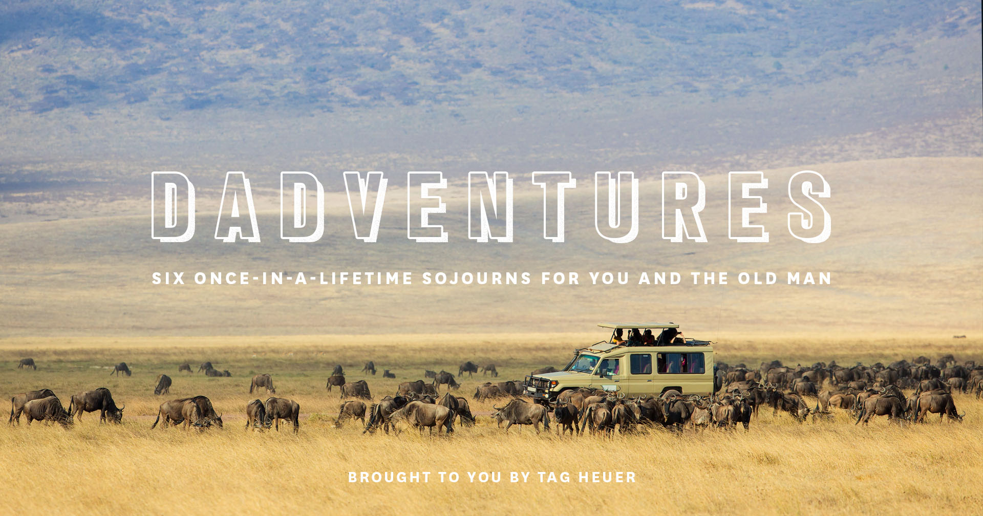 These Are the Dadventures. Use Them Wisely.