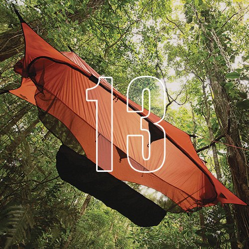 A hammock tied to the trees of a tropical forest, with an overlay of the number "13"