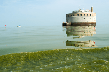 Lake Erie pollution